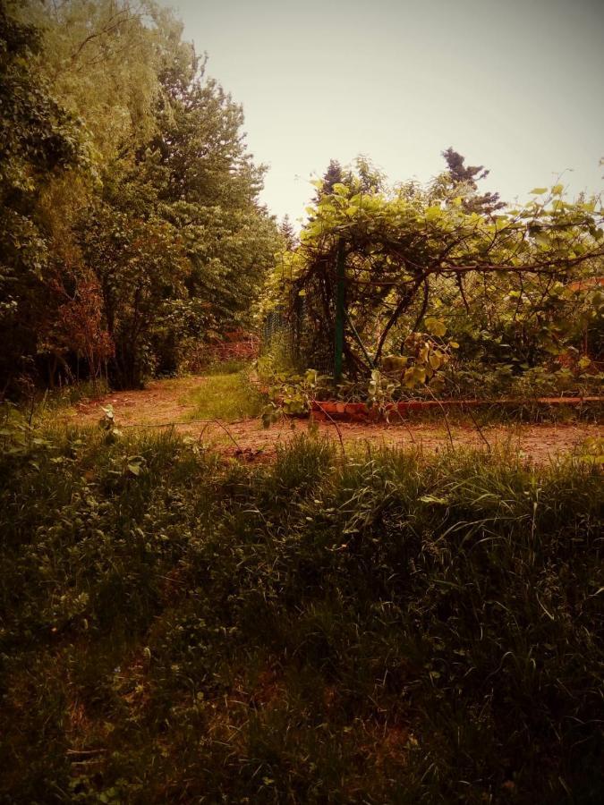 Agroturystyka U Babci Czchow Esterno foto
