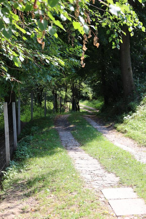 Agroturystyka U Babci Czchow Esterno foto