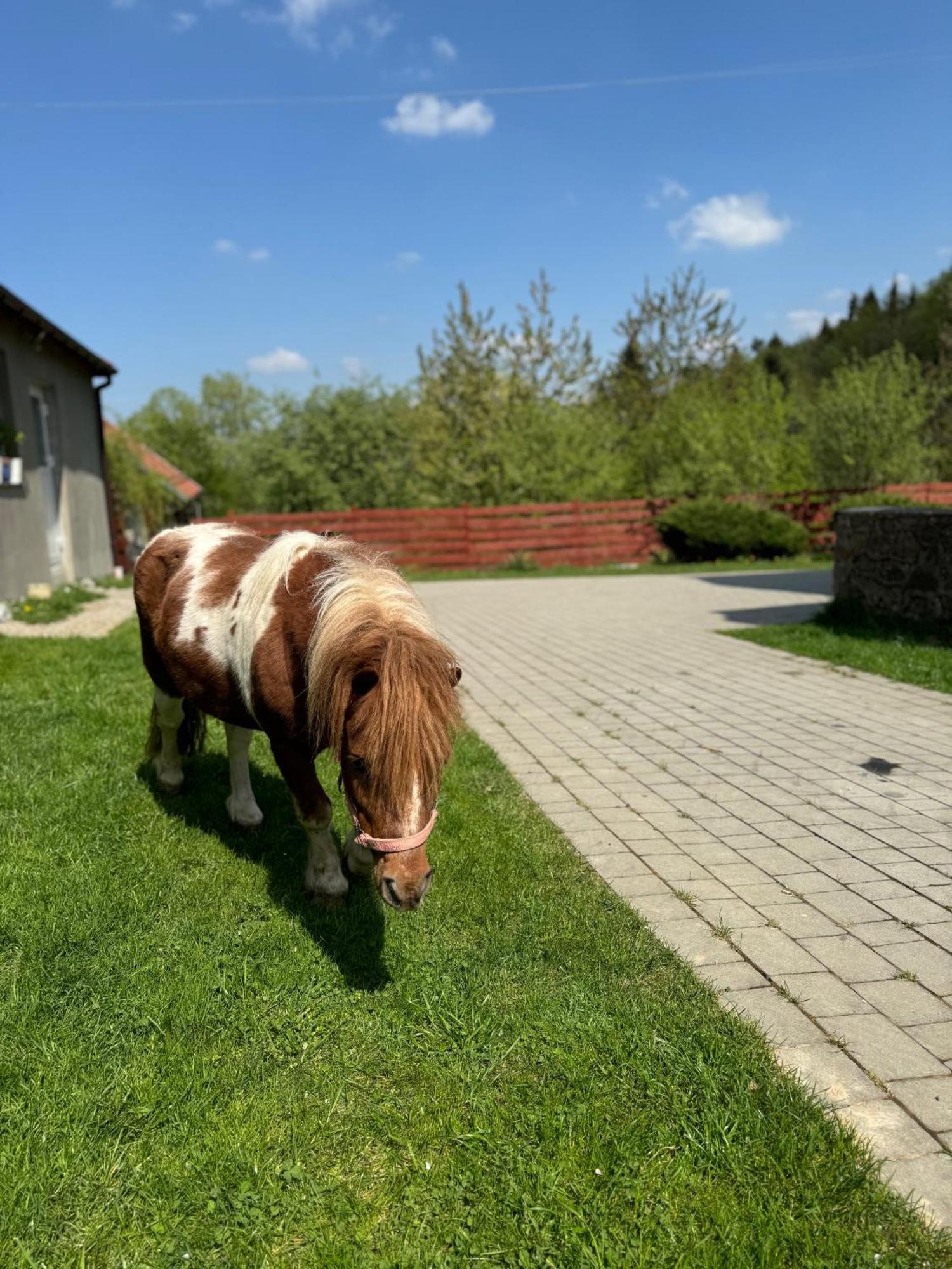 Agroturystyka U Babci Czchow Esterno foto